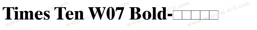 Times Ten W07 Bold字体转换